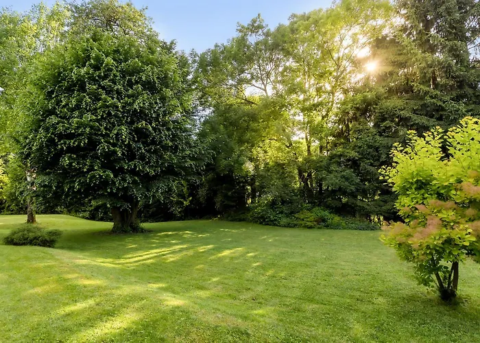 Svetina Μπλεντ